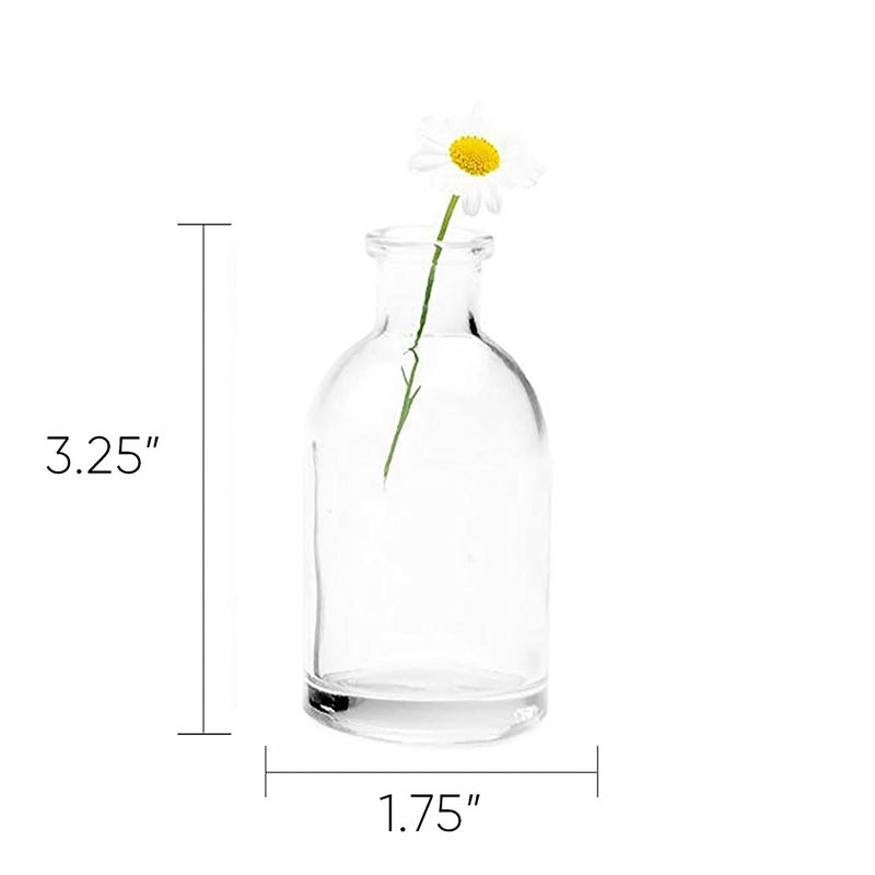 CHIVE â€˜Loftâ€™ Small Mini Flower Vases - Clear Glass Bud Vases, Set of 10 Color - Cute Vintage Rustic Centerpieces for Wedding, Events & Home - Premium Quality, Designed to Last - Image 2